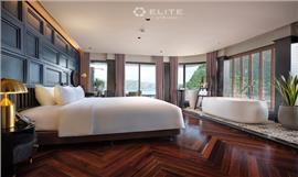 Elite Executive Premium Suite